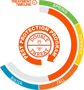 double threat program graphic